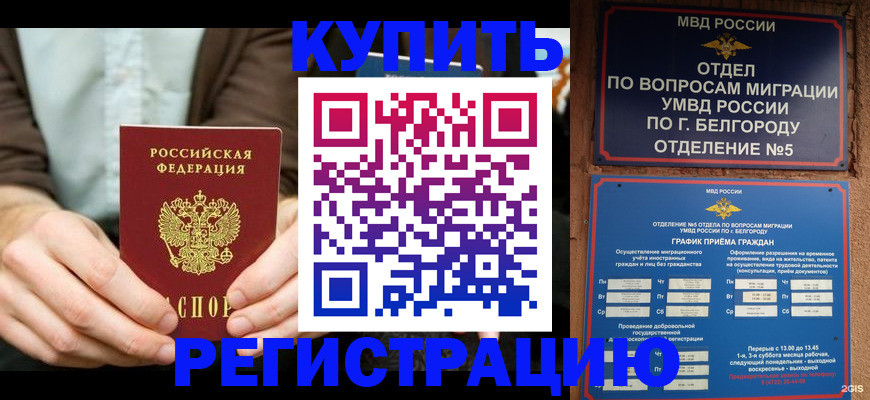 прописка 2025 в Калаче